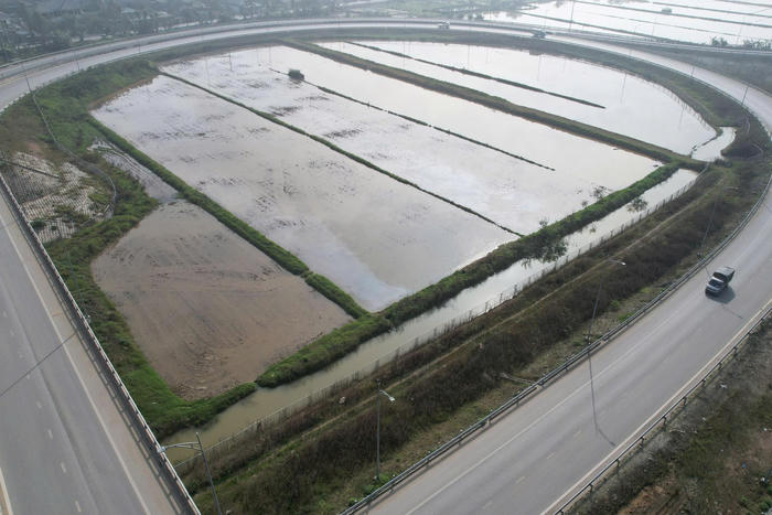 Khó canh tác vì vướng cao tốc, người dân kiến nghị thu hồi