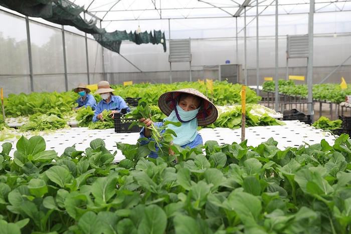 Hướng đến nông nghiệp sinh thái, hiện đại và bền vững