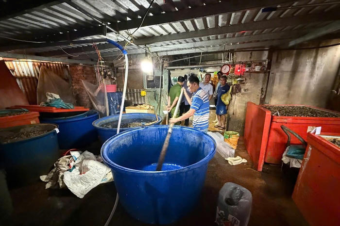 TP Hồ Chí Minh: Triệt phá đường dây ngâm 3.000 tấn thịt ốc bằng hóa chất công nghiệp