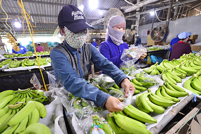 Tạm dừng Nghị định 46, doanh nghiệp vẫn chưa hết lo