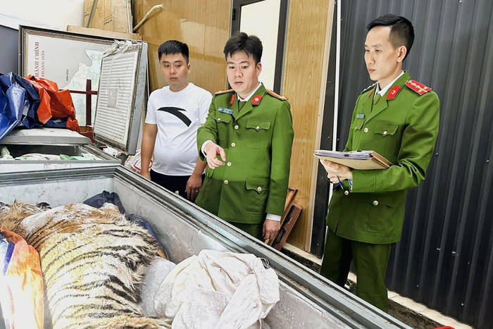 Thanh Hóa: Triệt phá đường dây mua bán, nấu cao hổ, bắt giữ 2 người liên quan