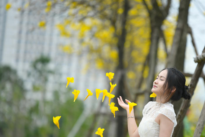 Rực rỡ những đường hoa ở Hà Nội