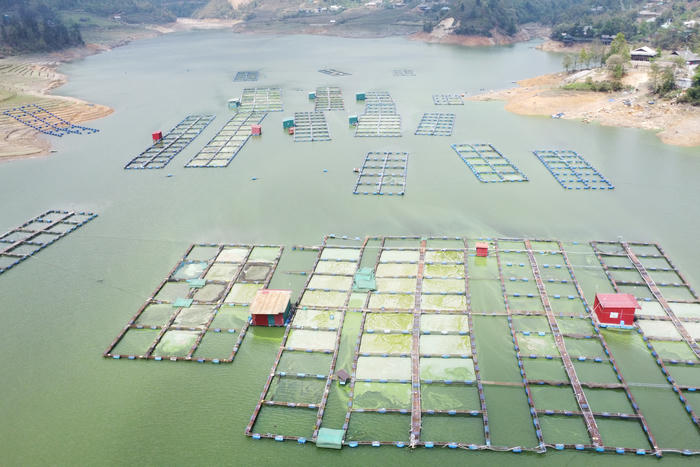 Bao giờ Séo Mý Tỷ mới lại là 'Viên ngọc xanh' giữa đại ngàn Tây Bắc?