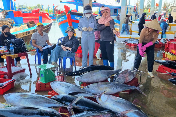 Những khoang thuyền đầy cá giữa “sóng gió” chi phí