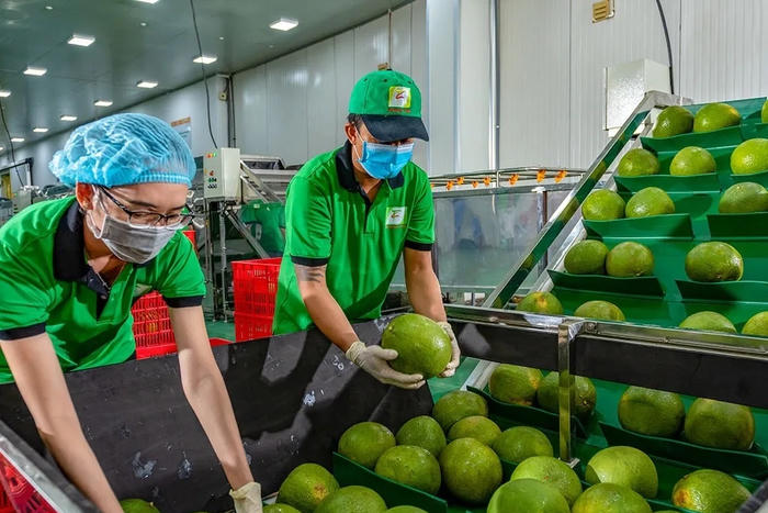 Xuất khẩu nông lâm thủy sản quý I: Nhiều mặt hàng tăng trưởng mạnh