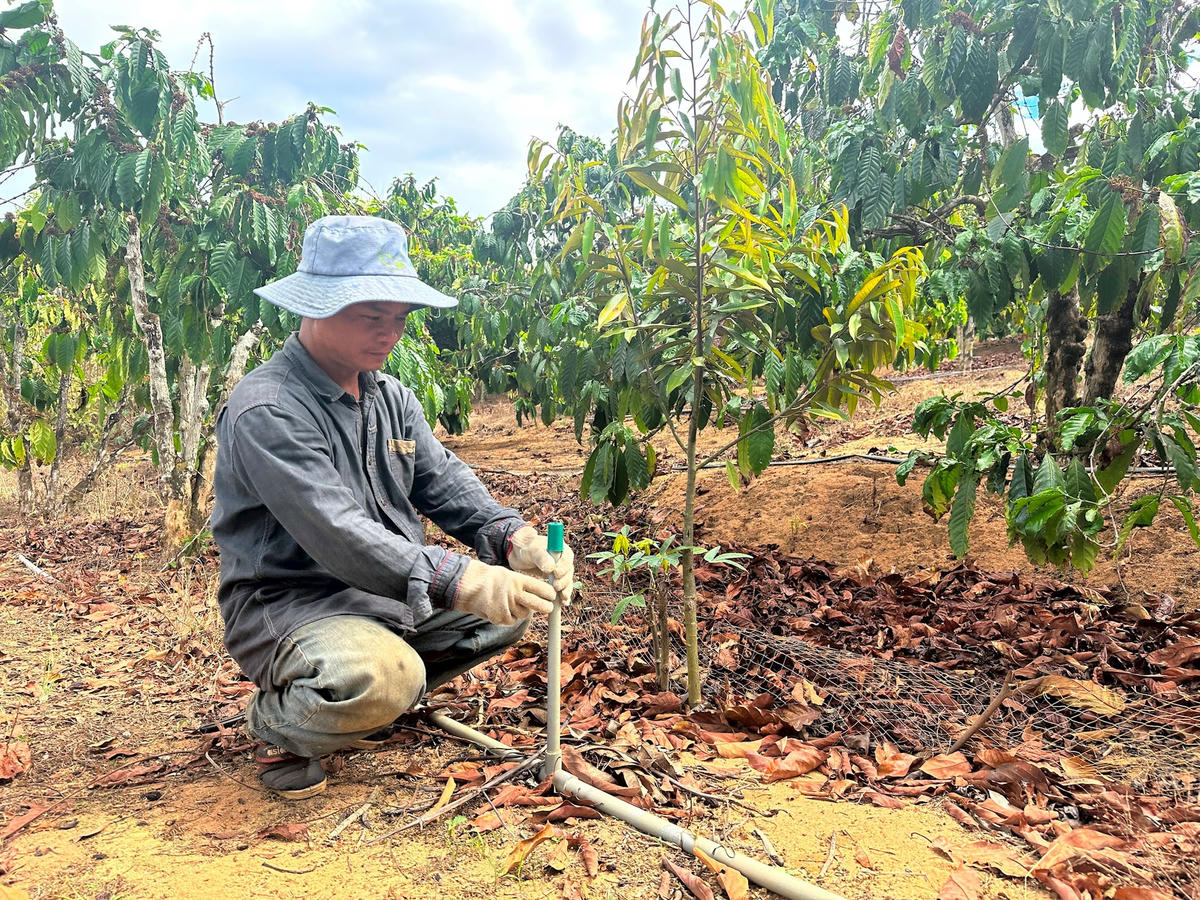 Ông Bùi Hữu Trí bỏ ra khoảng 43 triệu đồng để khoan giếng và 15 triệu đồng lắp đặt hệ thống tưới tiết kiệm nước vì hồ thủy lợi cạn nước.