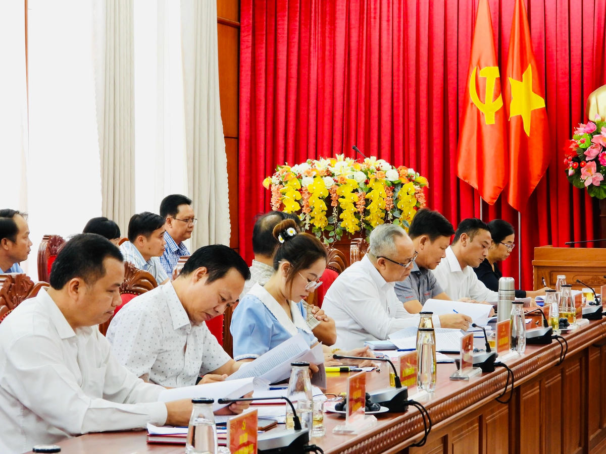 Các đại biểu dự họp.