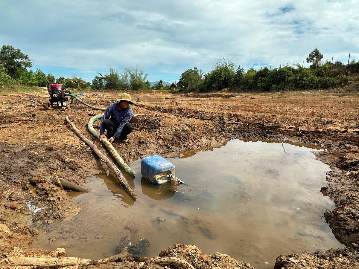 Ông Bùi Văn Tươi chắt chiu số nước ít ỏi còn lại trong các vũng nước nhỏ để tưới cho 1,5ha cà phê của gia đình.