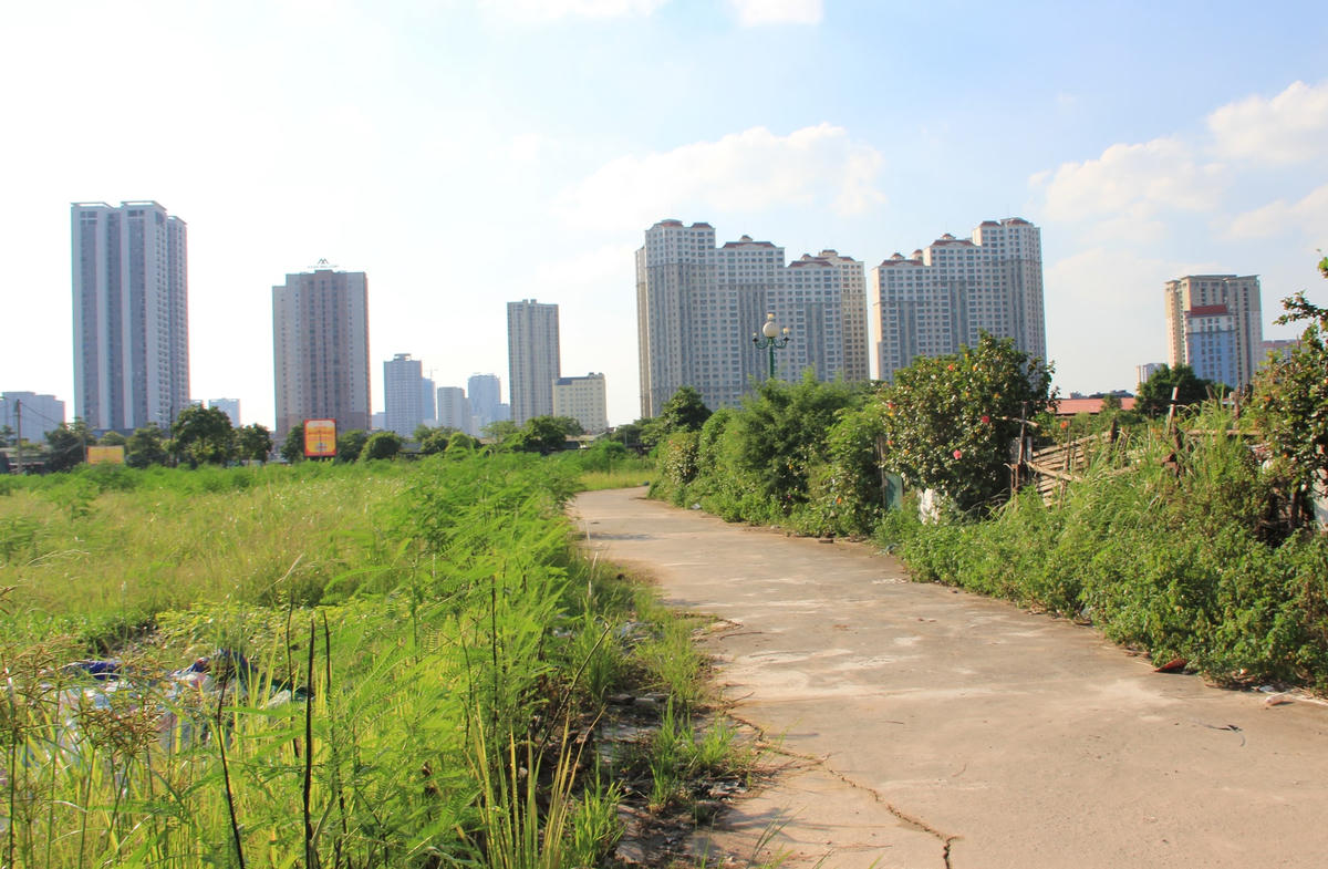 Do diện tích đất thu hồi bị bỏ hoang gây lãng phí tài nguyên nên UBND quận Hà Đông đã có văn bản đề nghị UBND TP Hà Nội xem xét chấp nhận giao cho quận Hà Đông tạm thời đưa vào khai thác sử dụng đất.   