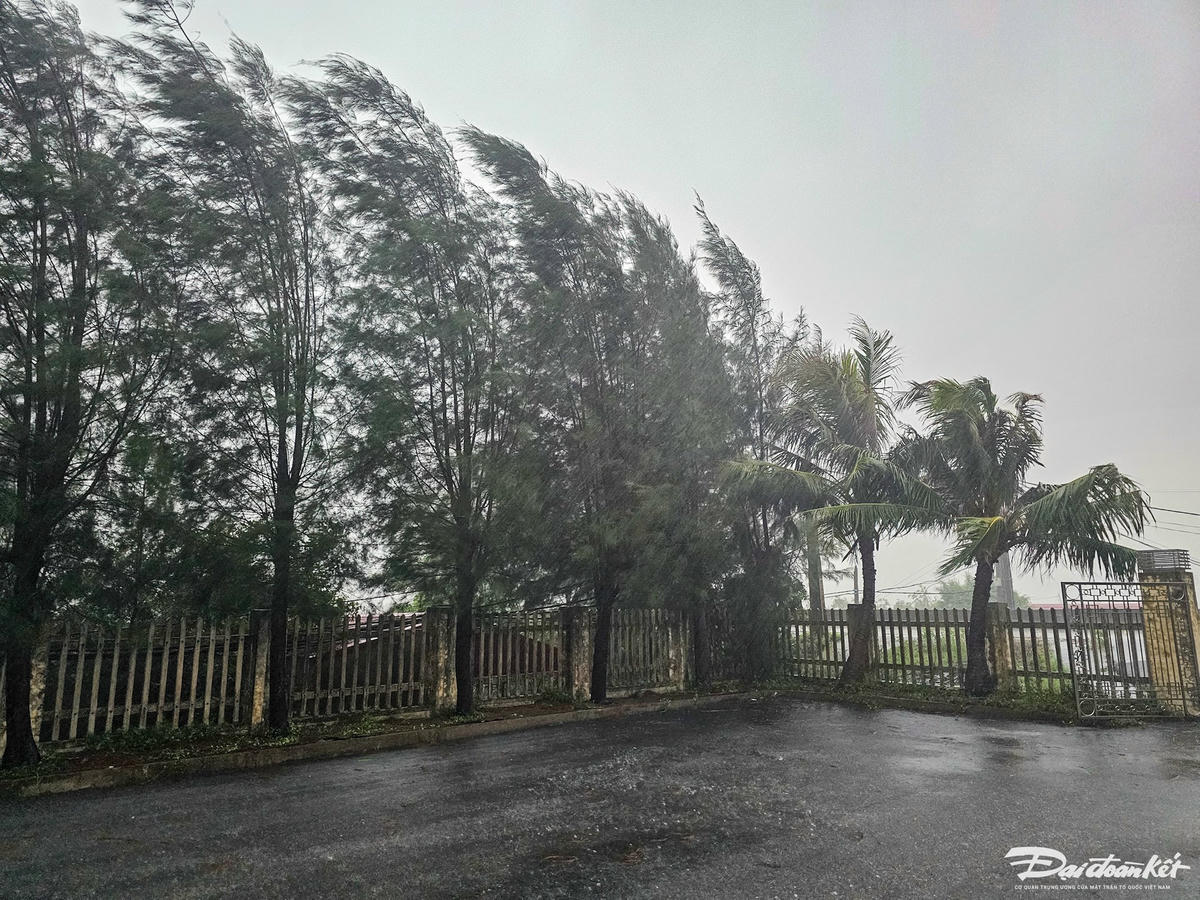 Ghi nhận vào lúc 7h sáng nay (ngày 22/7) tại xã ven biển Kim Đông (tỉnh Ninh Bình), do ảnh hưởng của bão số 3 (Wipha) khiến mưa lớn kéo dài từ đêm 21/7 đến rạng sáng. Ảnh: Đình Minh 