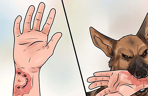 Ảnh minh họa. Nguồn: Vnexpress.