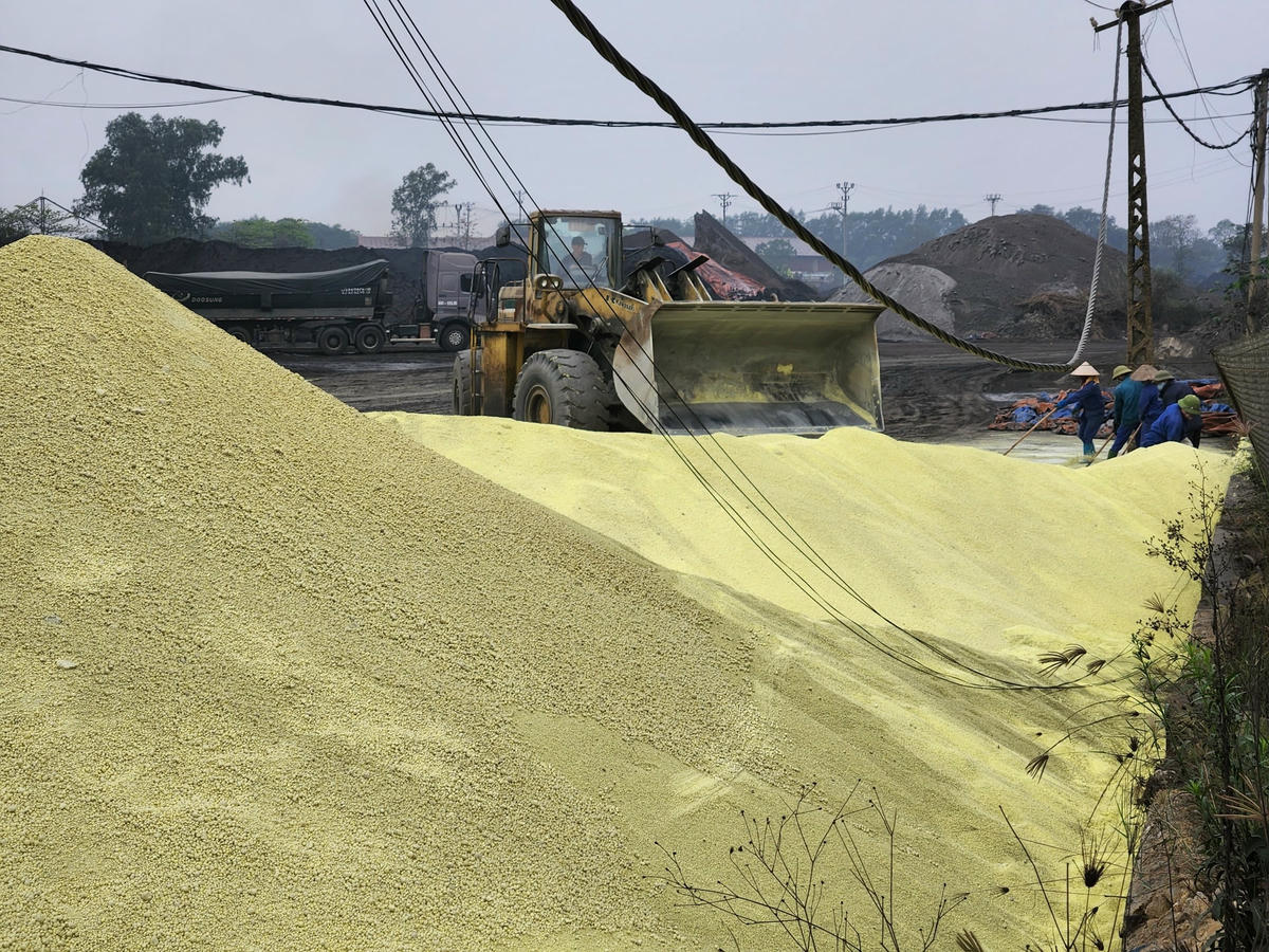 Lưu huỳnh được tập kết lộ thiên tại Cảng Việt Trì. Ảnh Tuấn Trung