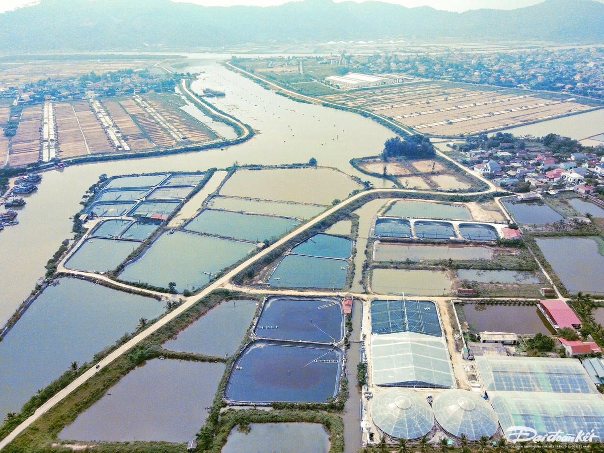 dji_fly_20241010_104158_671_1728531737492_photo (1)