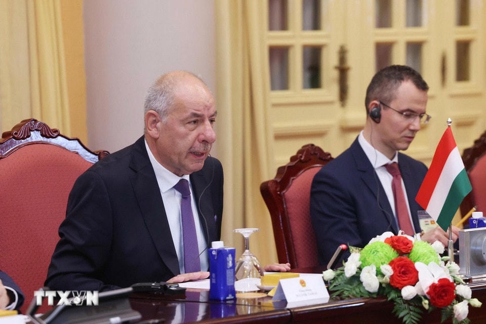 Tổng thống Hungary Sulyok Tamas phát biểu tại hội đàm. (Ảnh: Lâm Khánh/TTXVN) ttxvn-chu-tich-nuoc-luong-cuong-hoi-dam-voi-tong-thong-hungary-8059126-5.jpg