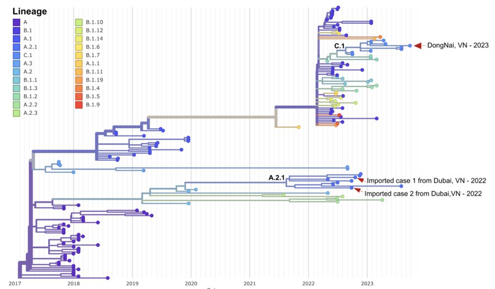Kết quả giải mã gene của bệnh nhân đậu mùa khỉ nội địa đầu tiên được phát hiện tại TP HCM.