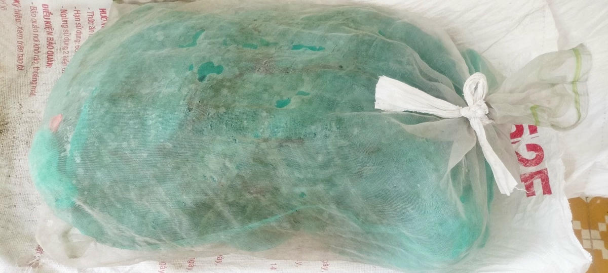 Con trăn được bỏ vào bao vận chuyển về Hạt Kiểm lâm Cam Lộ.