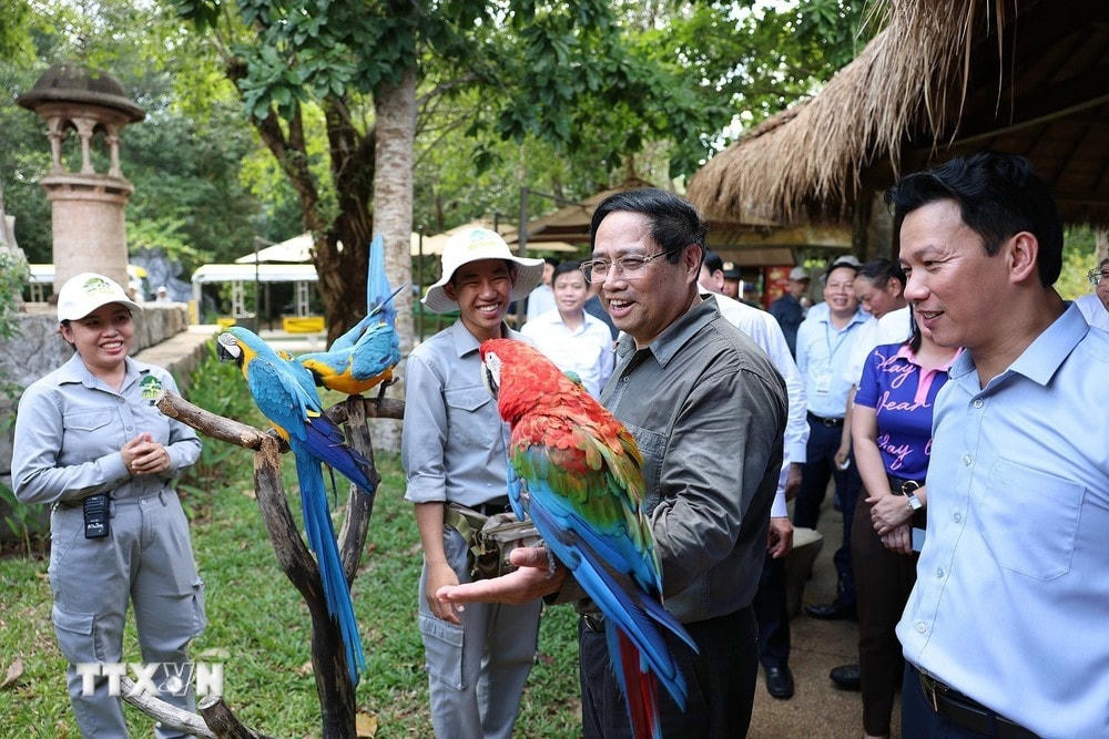 Thủ tướng Phạm Minh Chính thăm công viên bảo tồn động vật hoang dã tại Phú Quốc. (Ảnh: Dương Giang/TTXVN) ttxvn_thu_tuong_7.jpg