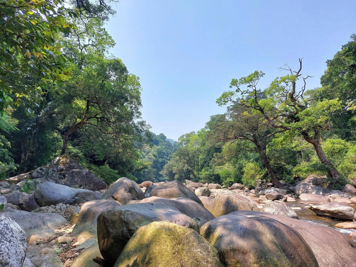 Khu vực gần các khe suối thường ẩn giấu vô vàn bẫy thú rừng.