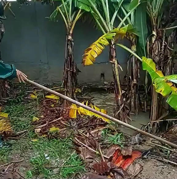 Hố sụt lún rộng khoảng 5m và sâu hơn 4m.