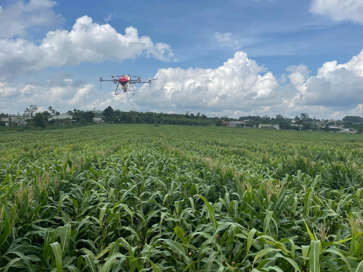 Công ty CP Cà phê Thuận An đã đưa vào sử dụng máy bay phun thuốc trong canh tác cây cà phê và cây hoa màu.