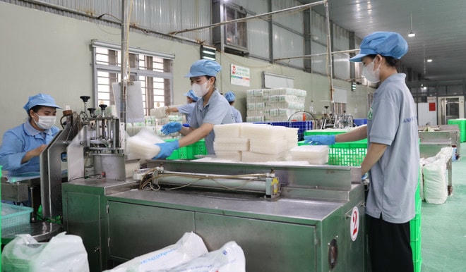 Hoạt động tại một doanh nghiệp ở Tây Ninh. (Ảnh: Thanh Tân/TTXVN) san-xuat-kinh-doanh-2.jpg