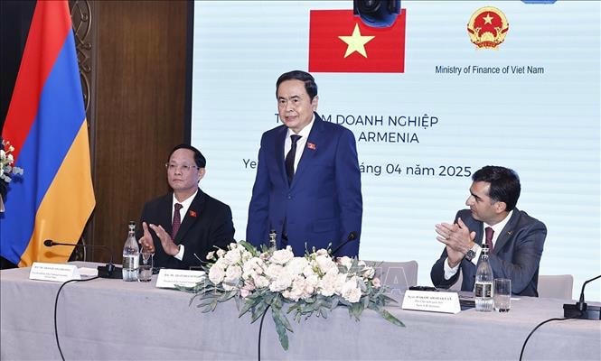 Chủ tịch Quốc hội Trần Thanh Mẫn dự Tọa đàm doanh nghiệp Việt Nam - Armenia- Ảnh 4.
