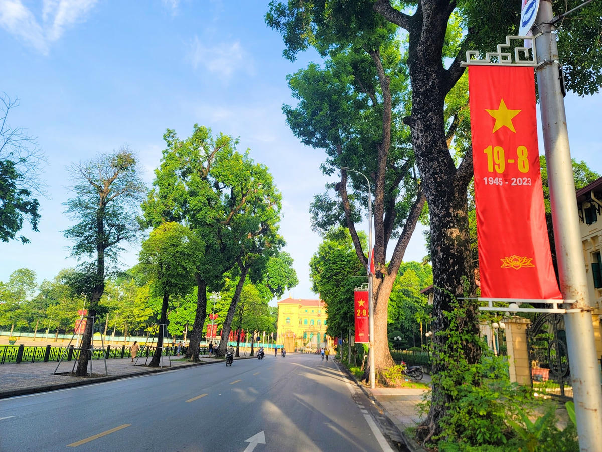 Các tuyến phố Hoàng Văn Thụ, Độc Lập, Chu Văn An, Lê Hồng Phong, Hùng Vương, ...