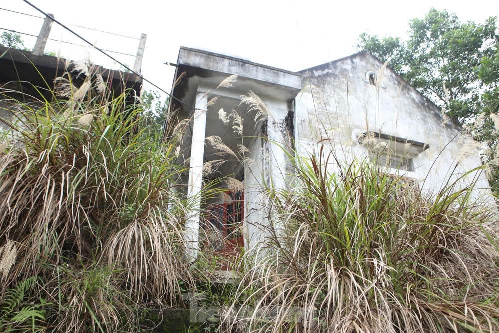 Hoang tàn ở nhà máy nước sạch Đức Lạng (Đức Thọ, Hà Tĩnh)..