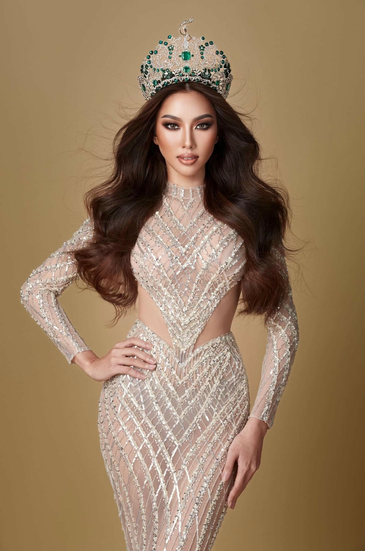 Hoa hậu Nguyễn Thúc Thuỳ Tiên.