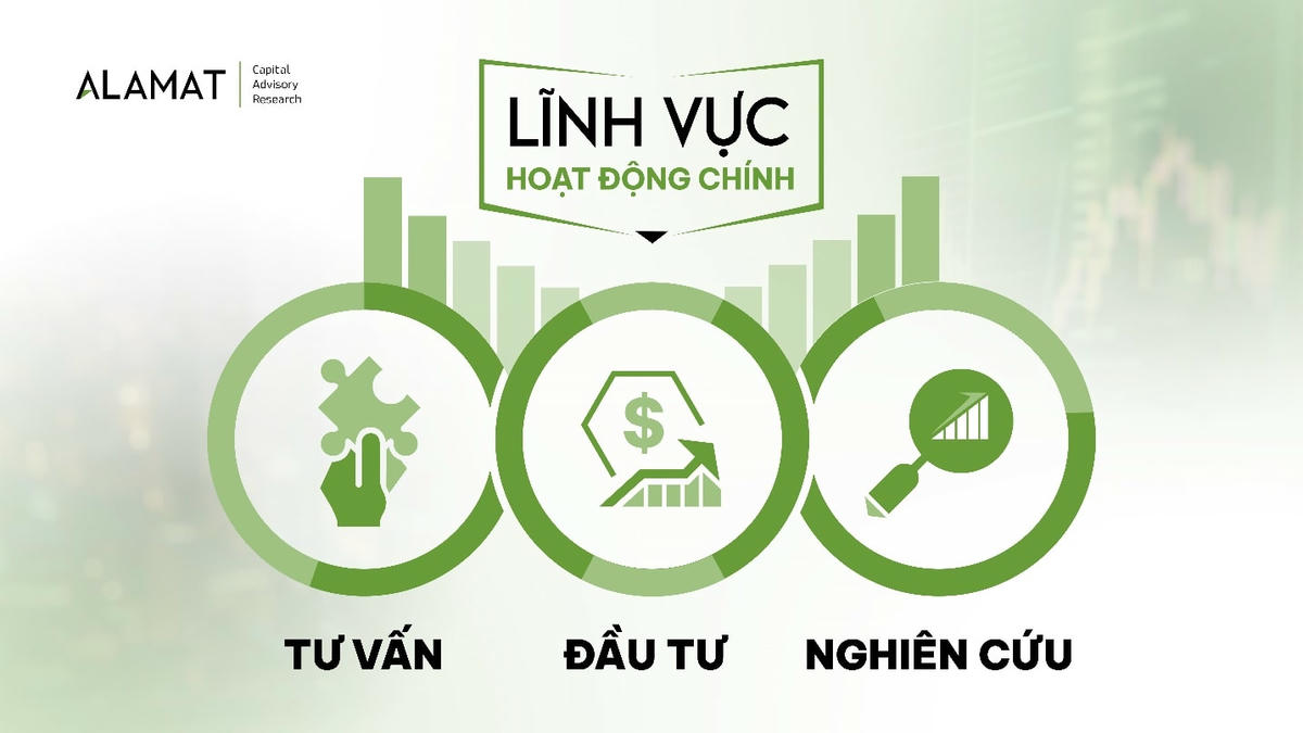 Những lĩnh vực hoạt động chính của Alamat Capital.