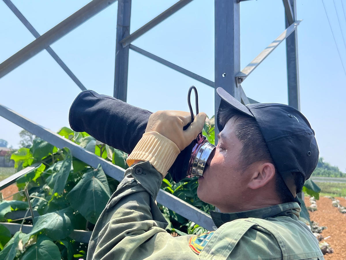 Sau một lúc thu hoạch dứa, người lao động phải thường xuyên uống nước để giải nhiệt và tìm những bóng cây tranh thủ nghỉ giải lao để dưỡng sức.  