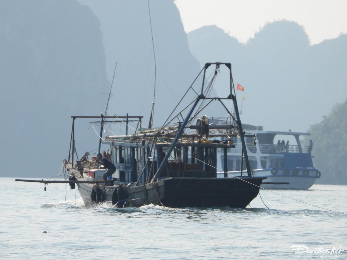 Khi phát hiện có nhóm PV dùng máy quay chụp, một người lái tàu giã cào đã thực hiện các thao tác thả túi lưới xuống biển, nhằm phi tang ngư cụ cấm.