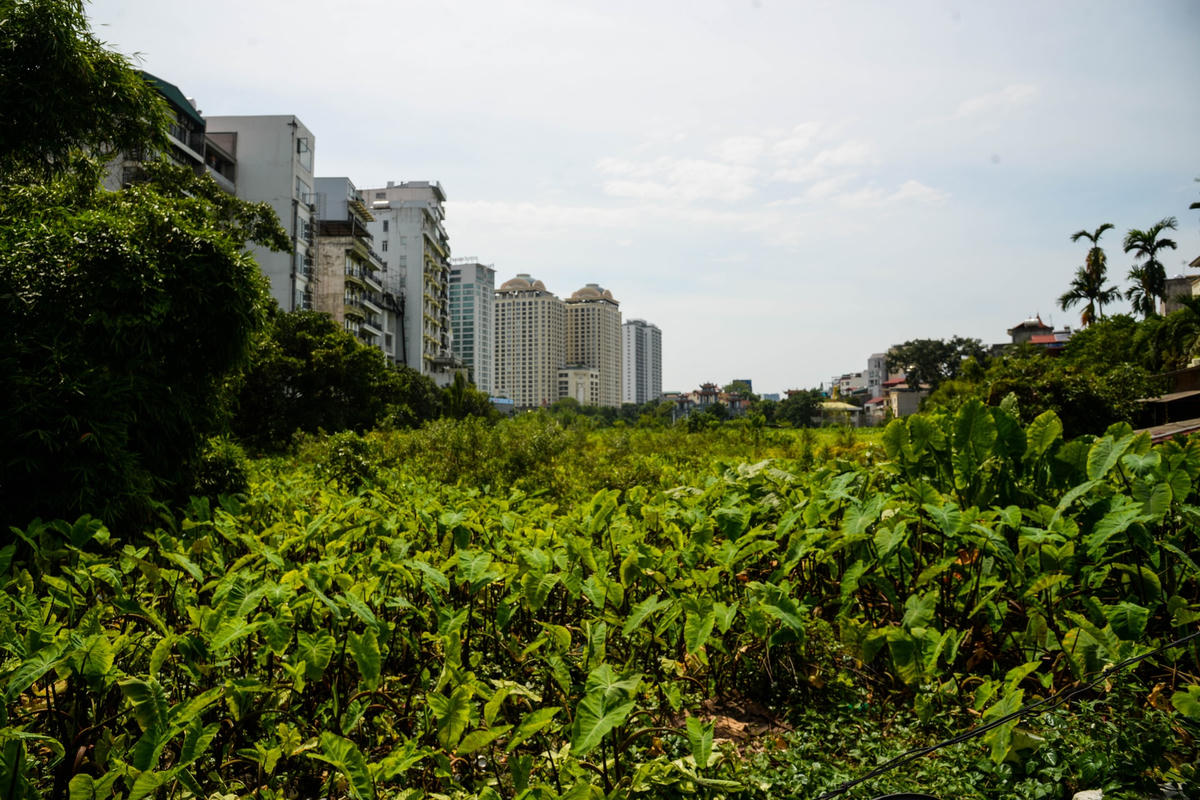 Theo phản ánh của người dân, nguyên nhân gây ra tình trạng ngập úng là do đường ống thoát nước ra hồ Tây và một phần hồ Tứ Liên bị lấp để xây nhà cao tầng, trong khi đó những phần hồ còn lại cây cối mọc dại quá nhiều khiến nước không thể thoát đi được và tràn vào những ngõ xung quanh hồ.