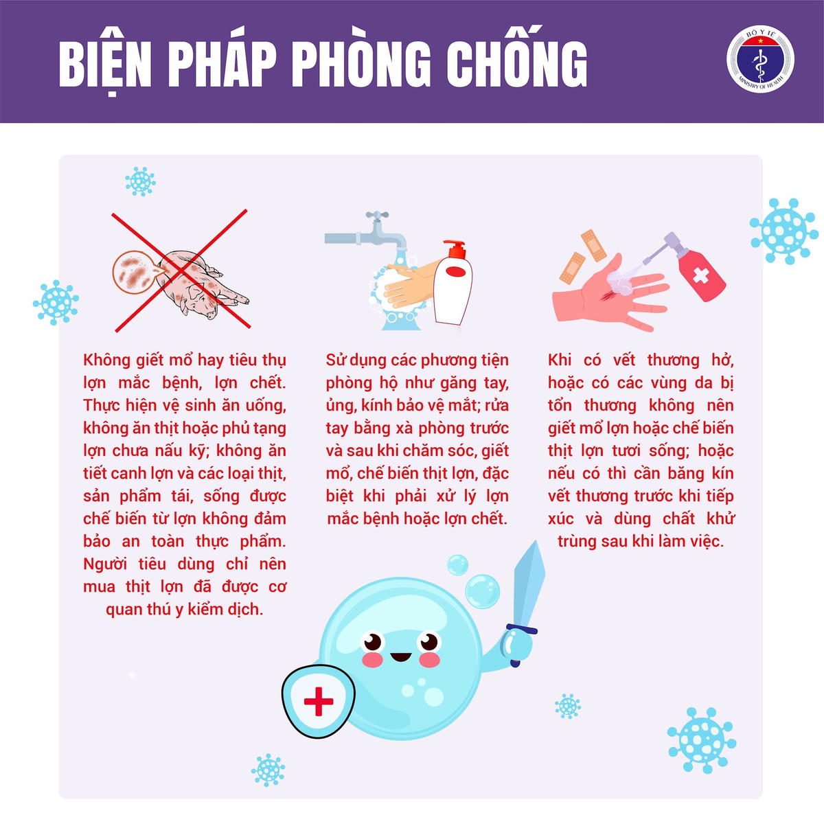 Liên cầu lợn 4