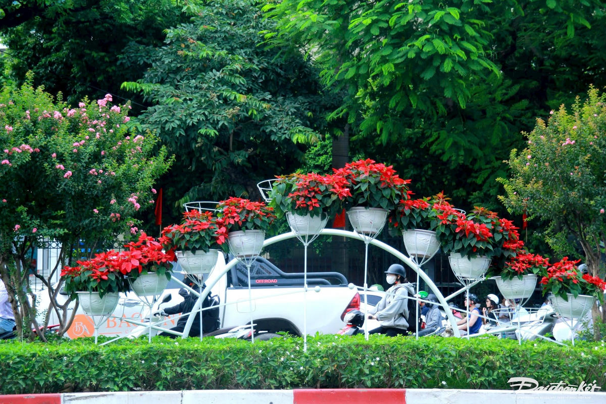 Nhiều tuyến đường được trang hoàng bằng cả những chậu hoa, rực rỡ sắc màu. Tạo nên môi không khí tươi mới, rộn ràng. Ảnh: Phạm Sỹ.