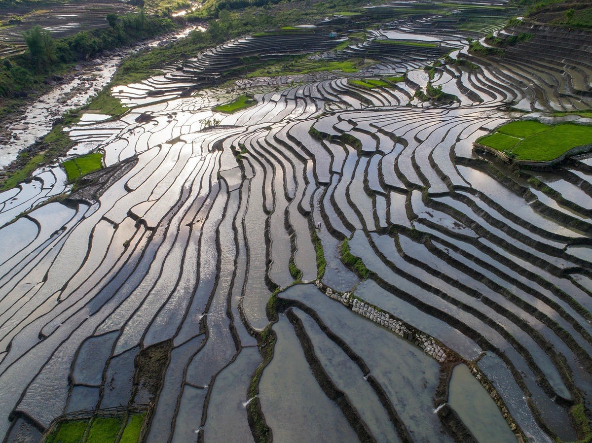 Khu ruộng bậc thang ở xã Sàng Ma Sáo (huyện Bát Xát, Lào Cai) đang đổ nước...