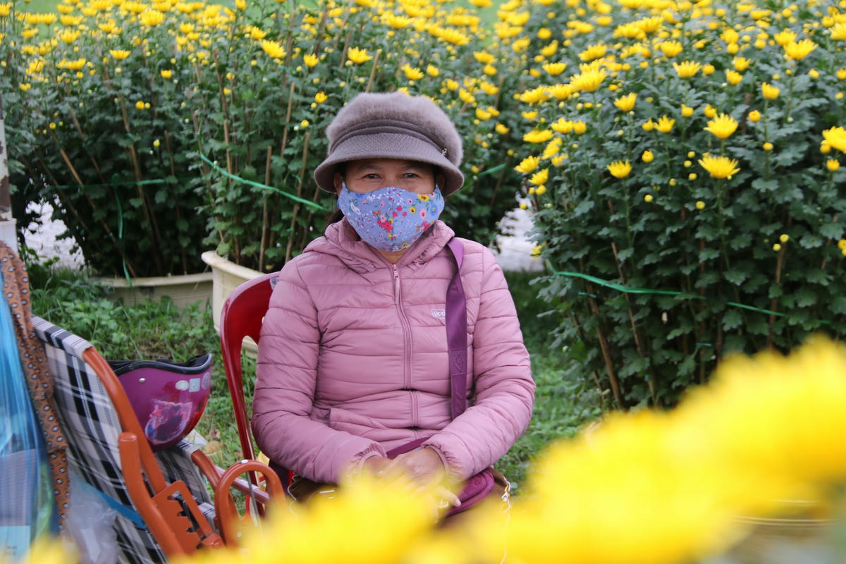 Bà Dư Thị Khuyên (55 tuổi; trú phường Đông Giang, TP Đông Hà) cho biết, năm nay nhà bà trồng 200 cặp chậu cúc với kích thước từ 40 - 60cm/mỗi chậu. Giá thành hoa cúc chậu năm nay cũng cao hơn năm trước, cụ thể giao động từ 600.000 - 2.000.000/cặp chậu hoa cúc. Bà Khuyên và nhiều thương lái ở đây cho biết, đến thời điểm này (25/12 âm lịch), năm nay sức mua hoa trưng bày Tết của người dân không bằng năm trước.