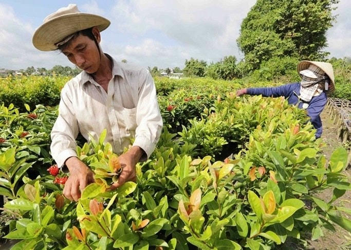 Năm 2023, Bình Phước tăng cường hỗ trợ đào tạo nghề, tạo việc làm, tạo sinh kế để hỗ trợ người nghèo cải thiện đời sống vật chất và tinh thần.