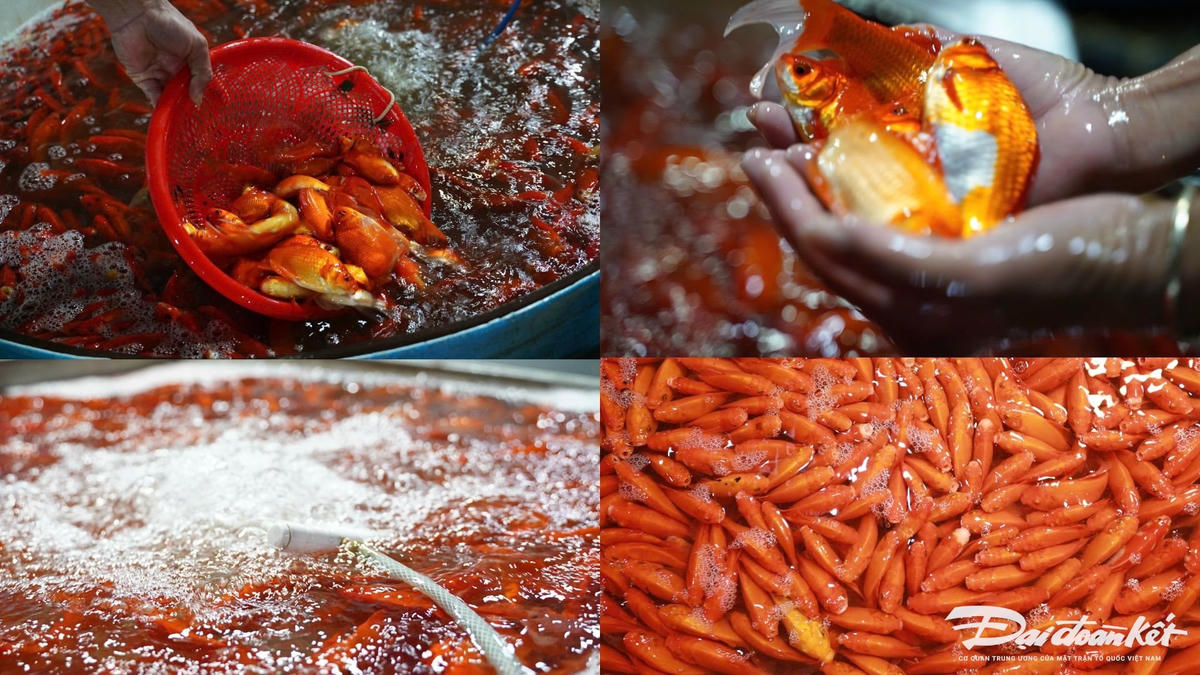 Thiết kế chưa có tên