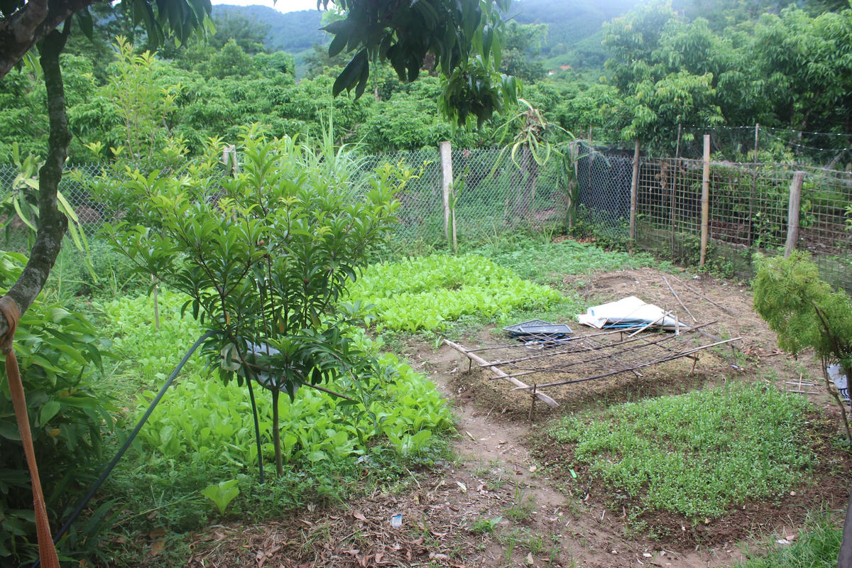 Chính sách tín dụng đã giúp cho các hộ nghèo, cận nghèo, các doanh nghiệp, hợp tác xã...thoát nghèo, phát triển bền vững. Ảnh: Thu Trang