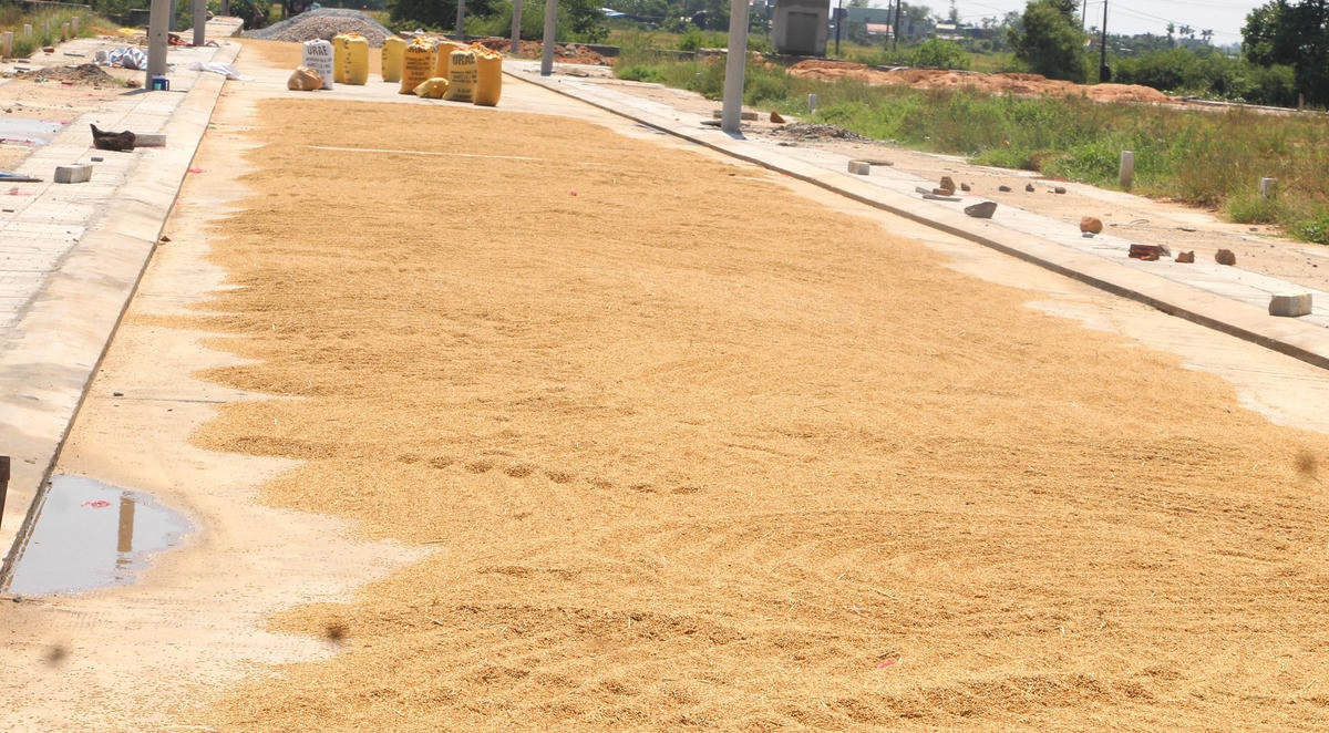 Một góc con đường làng người dân đang phơi lúa.