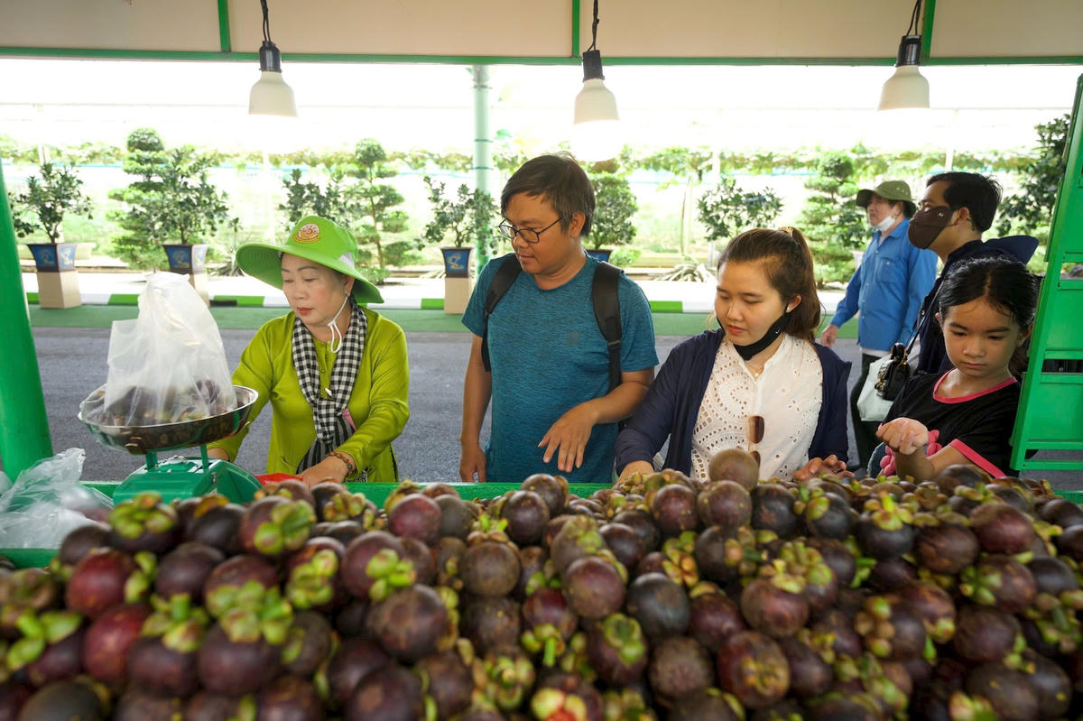Nhiều du khách đợi mua trái cây giá rẻ từ lễ hội. Ảnh: T.H