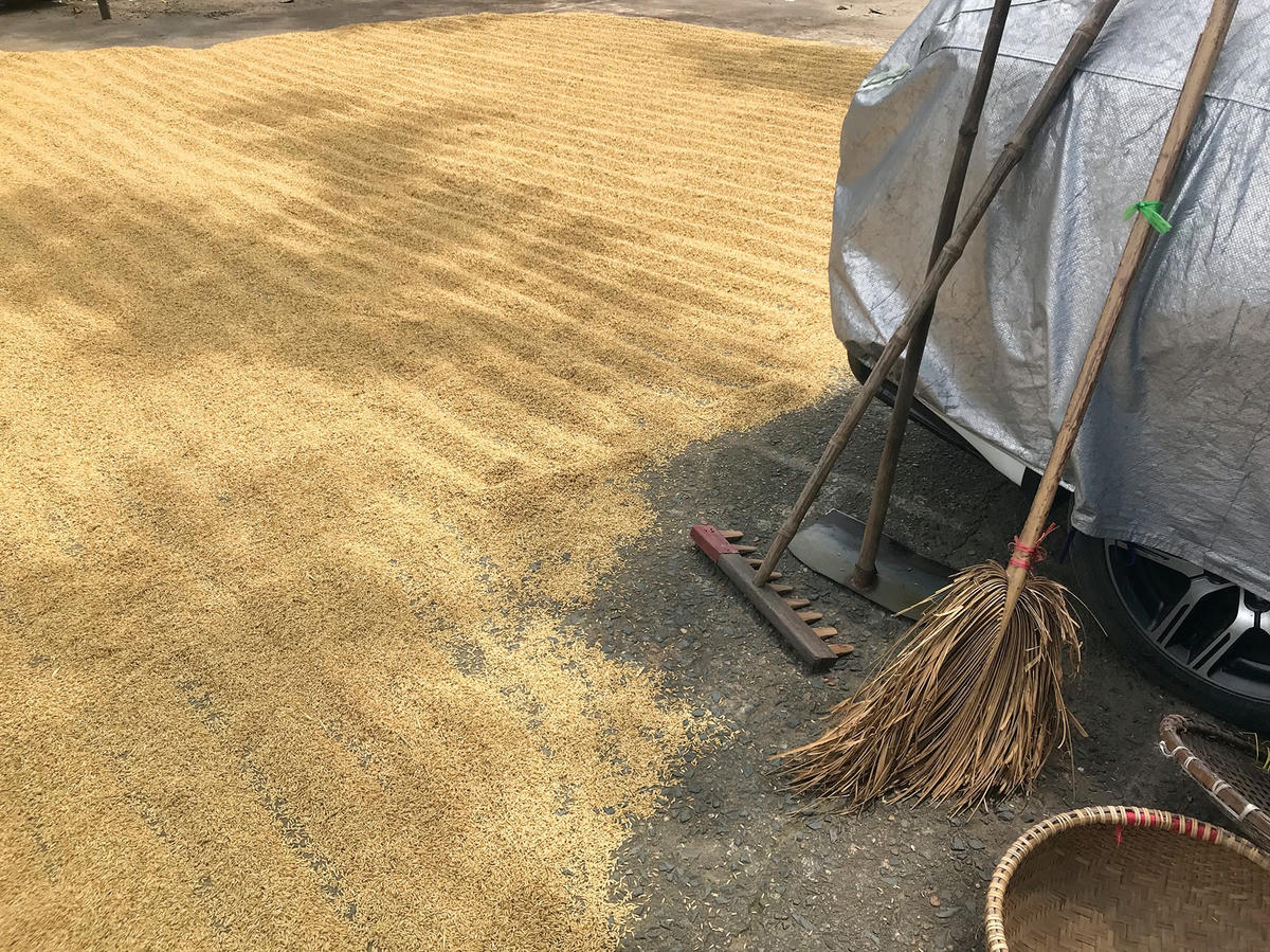 Cào, chổi, thúng…