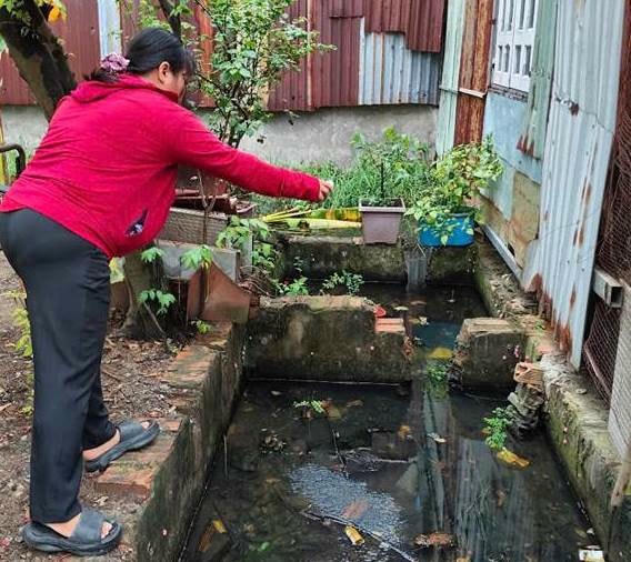 Ngành y tế khuyến cáo, người dân chủ động phòng bệnh sốt xuất huyết bằng nhiều cách. Ảnh: HCDC