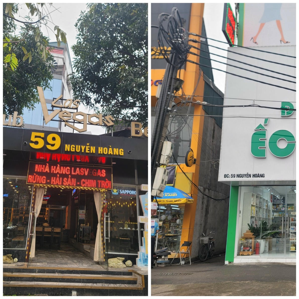 2 nhà cùng có số 59 cách nhau hàng trăm mét nằm trên phố Nguyễn Hoàng.