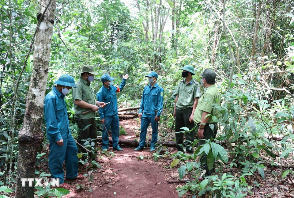 Lực lượng dân quân huyện Ia Grai, tỉnh Gia Lai, tích cực đồng hành với lực lượng kiểm lâm trong công tác quản lý, bảo vệ rừng, tháng 5/2022. (Ảnh: Hồng Điệp/TTXVN)