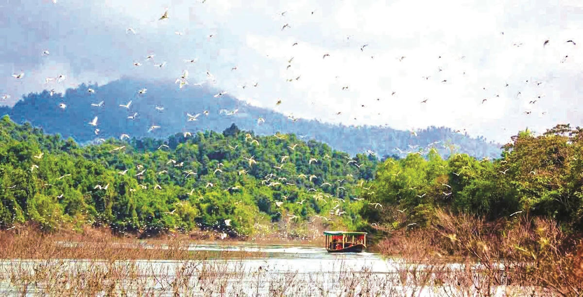 2. Từng đàn chim bay rợp trời trên mặt hồ giữa Vườn quốc gia Vũ Quang