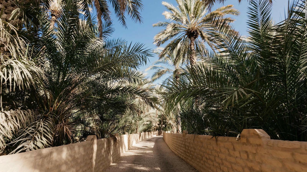 Al Ain Oasis: Một khu rừng yên bình với 147.000 cây chà là và các kênh thủy lợi cổ xưa. Ảnh: CNN.
