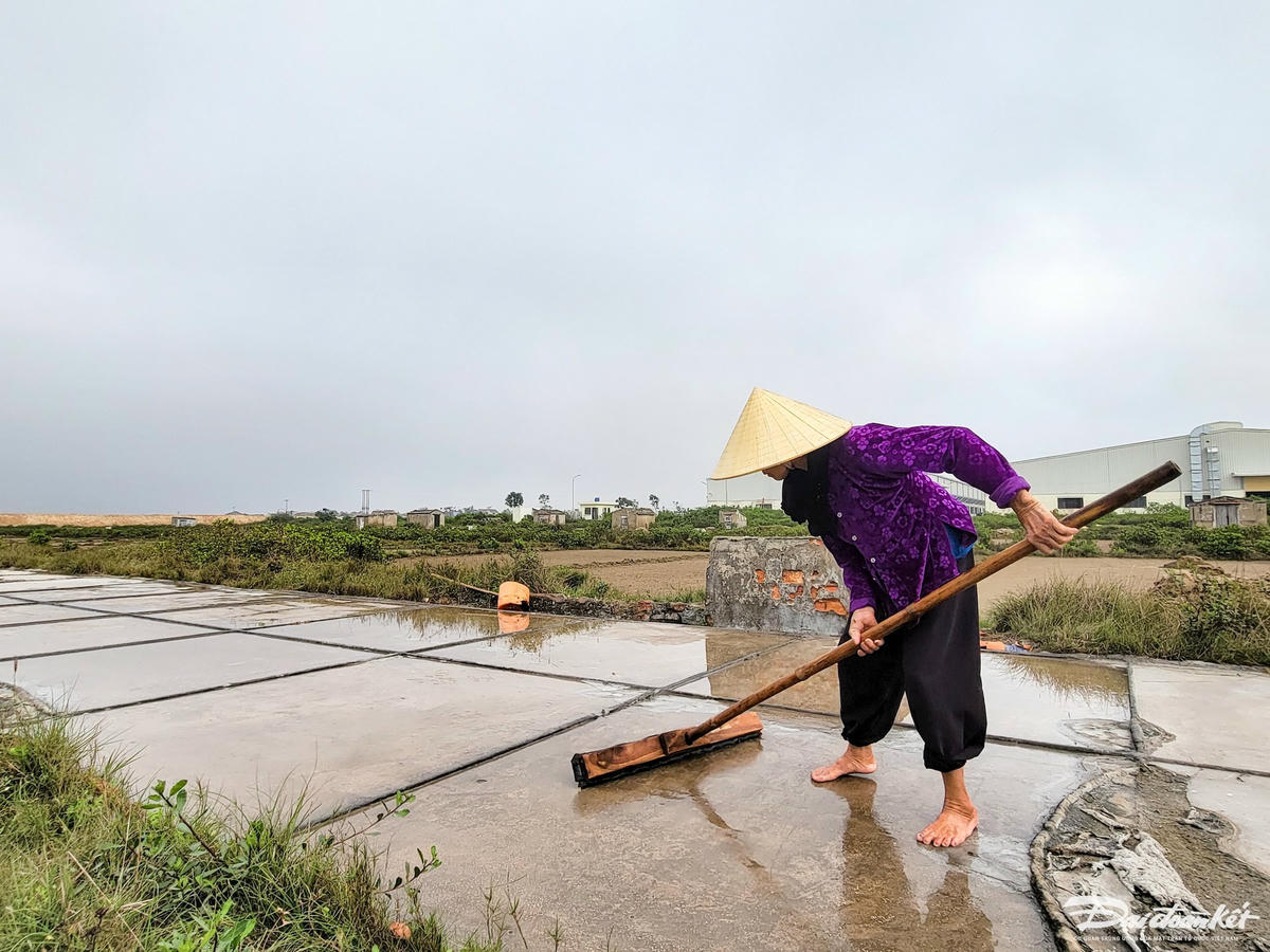 Là một trong những hộ còn làm nghề, bà Phạm Thị Loan, trú thôn Tam Hòa 2 cho biết, hiện gia đình đang có gần 3.000 m2 đất làm ruộng muối. Năm 2023 vừa qua, muối được giá khi đạt mức 2.500 đồng/kg nên bà cũng kiếm được đồng ra, đồng vào. Tuy nhiên, so về mặt bằng chung, nghề này vẫn quá vất vả khi chỉ làm được trong những tháng có nắng, thu nhập trung bình chỉ đạt mức 100.000 đồng/ngày.