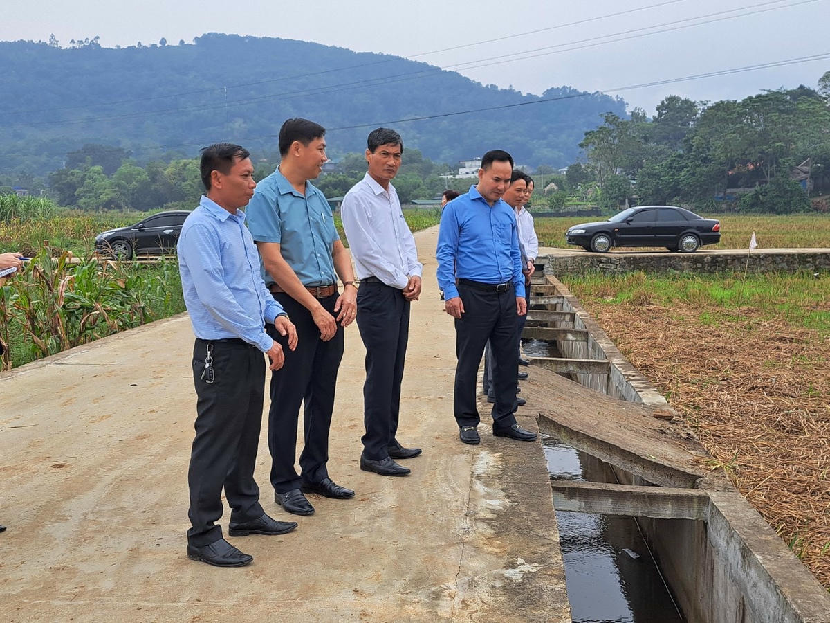 Đoàn giám sát của Ủy ban Mặt trận Tổ quốc Việt Nam thành phố đã đi giám sát thực tế tại xã Đông Xuân.